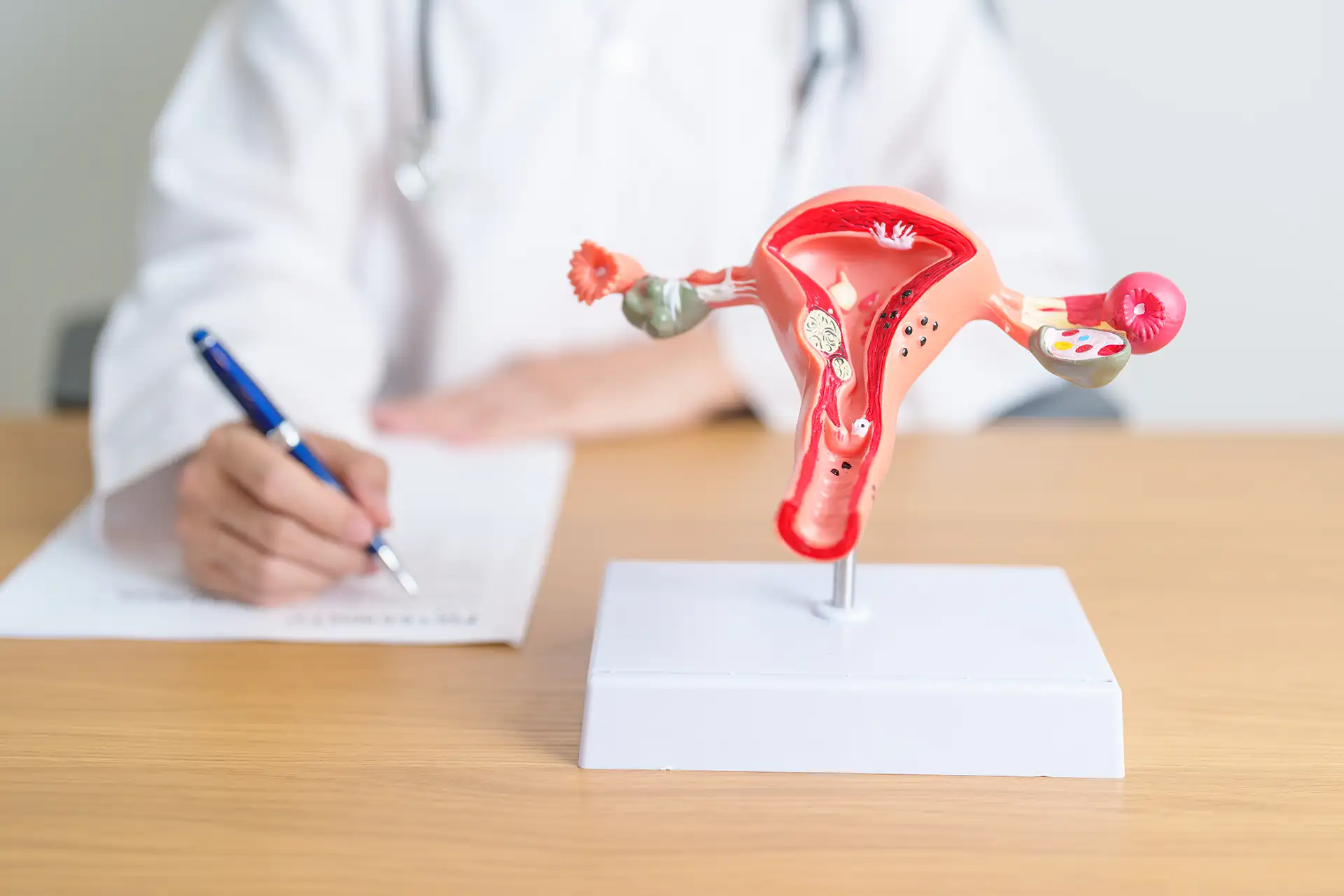 menopausa news studio elysium 05