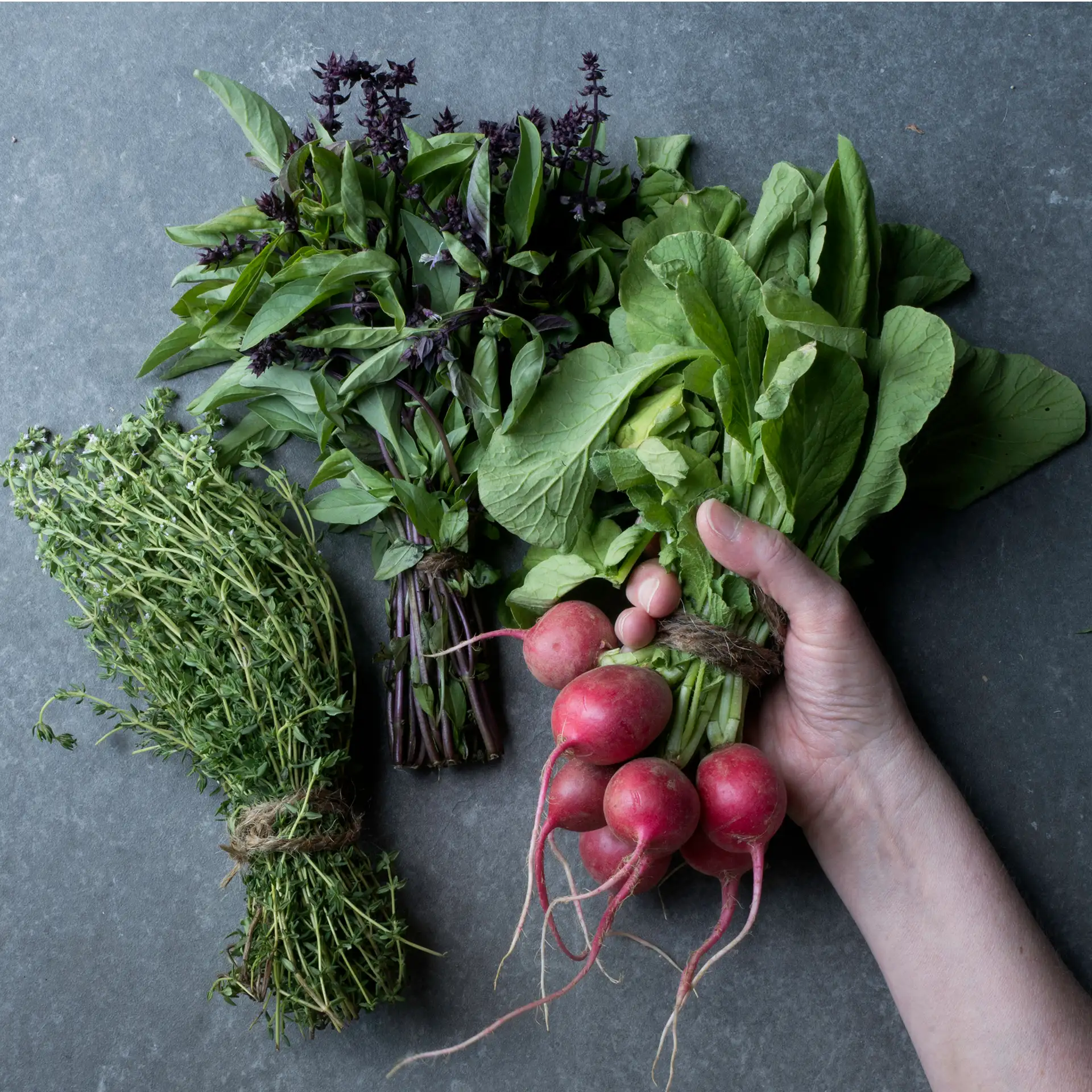 proteggersi dal sole news studio elysium 03